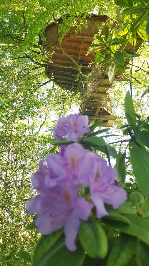 Le Domaine De Wail - Legends Resort Bilik gambar